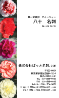 テンプレート名刺【plant-carnation photo-d003-zyz】