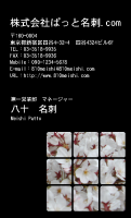 テンプレート名刺【plant- sakura photo-d002-zyz】
