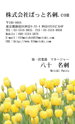 テンプレート名刺【plant-tulip photo-d004-lmzyz】