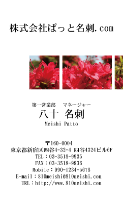 テンプレート名刺【plant-azaleas photo-d002-lm】