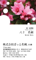テンプレート名刺【plant-azaleas photo-d006-lmzyz】