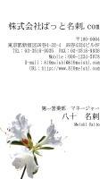 テンプレート名刺【plant-azaleas photo-d007-lmzyz】