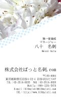 テンプレート名刺【plant-azaleas photo-d008-zyz】