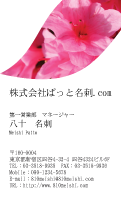 テンプレート名刺【plant-azaleas photo-d009-lmzyz】