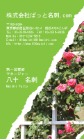 テンプレート名刺【plant-rose photo-d004-zyz】