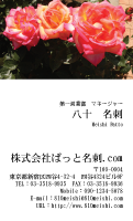 テンプレート名刺【plant-rose photo-d005-zyz】