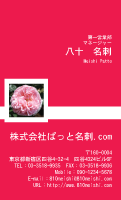 テンプレート名刺【plant-rose photo-d006-zyz】