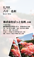 テンプレート名刺【plant-rose photo-d009-zyz】