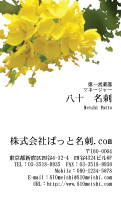 テンプレート名刺【plant-cole flower photo-d003-zyz】