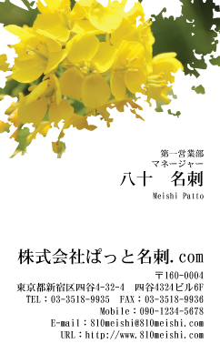テンプレート名刺【plant-cole flower photo-d003-zyz】