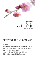 テンプレート名刺【plant-plum flower photo-d002-lmzyz】