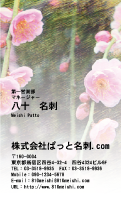 テンプレート名刺【plant-plum flower photo-d004-lmzyz】