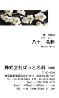 テンプレート名刺【plant-plum flower photo-d007-lmzyz】