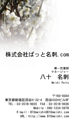 テンプレート名刺【plant-plum flower photo-d008-lmzyz】