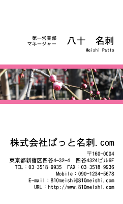 テンプレート名刺【plant-plum flower photo-d009-lmzyz】