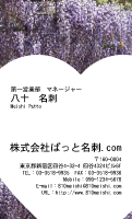テンプレート名刺【plant-wistaria photo-d006-lmzyz】