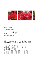 テンプレート名刺【plant-azaleas photo-d002-zy-lm】