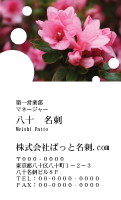 テンプレート名刺【plant-azaleas photo-d006-zy-zyz】