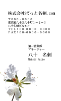 テンプレート名刺【plant-azaleas photo-d007-zy-zyz】