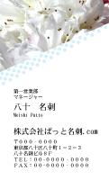 テンプレート名刺【plant-azaleas photo-d008-zy-zyz】