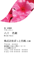 テンプレート名刺【plant-azaleas photo-d009-zy-zyz】