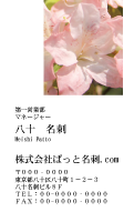 テンプレート名刺【plant-azaleas photo-d010-zy-lm】