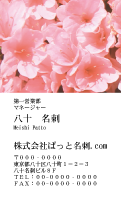 テンプレート名刺【plant-azaleas photo-d011-zy-lm】