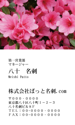 テンプレート名刺【plant-azaleas photo-d012-zy-lm】