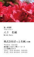 テンプレート名刺【plant-azaleas photo-d013-zy-lm】