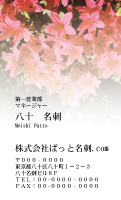 テンプレート名刺【plant-azaleas photo-d015-zy-lm】