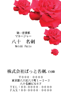 テンプレート名刺【plant-rose photo-d001-zy-zyz】