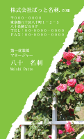 テンプレート名刺【plant-rose photo-d004-zy-zyz】