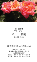 テンプレート名刺【plant-rose photo-d005-zy-zyz】