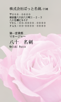 テンプレート名刺【plant-rose photo-d007-zy-zyz】