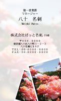 テンプレート名刺【plant-rose photo-d009-zy-zyz】