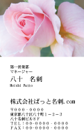 テンプレート名刺【plant-rose photo-d010-zy-lm】