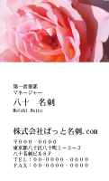 テンプレート名刺【plant-rose photo-d011-zy-lm】