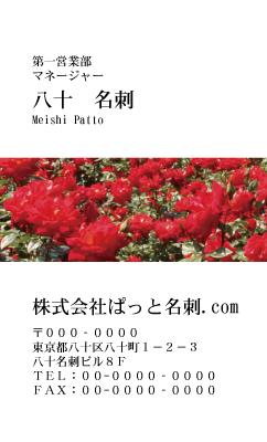 テンプレート名刺【plant-rose photo-d013-zy-lm】