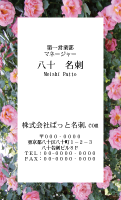 テンプレート名刺【plant-rose photo-d014-zy-lm】