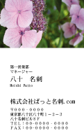 テンプレート名刺【plant-Hydrangea photo-d001-zy-yd】