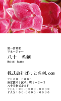 テンプレート名刺【plant-Hydrangea photo-d002-zy-yd】