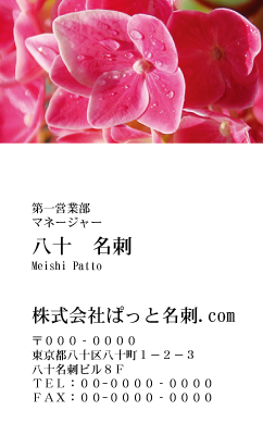 テンプレート名刺【plant-Hydrangea photo-d002-zy-yd】