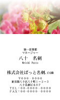 テンプレート名刺【plant-Hydrangea photo-d007-zy-yd】