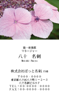 テンプレート名刺【plant-Hydrangea photo-d013-zy-yd】