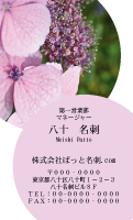 テンプレート名刺【plant-Hydrangea photo-d014-zy-yd】