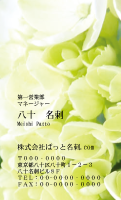 テンプレート名刺【plant-Hydrangea photo-d017-zy-yd】
