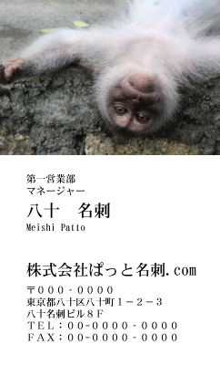 テンプレート名刺【animal photo-d022-zdk】
