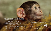 テンプレート名刺【animal photo-d026-zdk】