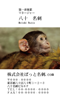 テンプレート名刺【animal photo-d026-zdk】