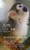 テンプレート名刺【animal photo-d027-zdk】
